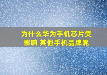 为什么华为手机芯片受影响 其他手机品牌呢